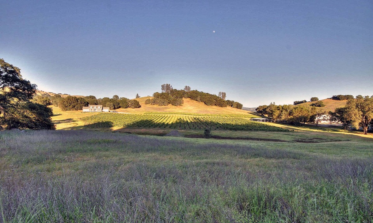 Lotus House | Beauty in the Heart of Coloma Valley: Winery Estate Farmhouse in the Vineyards