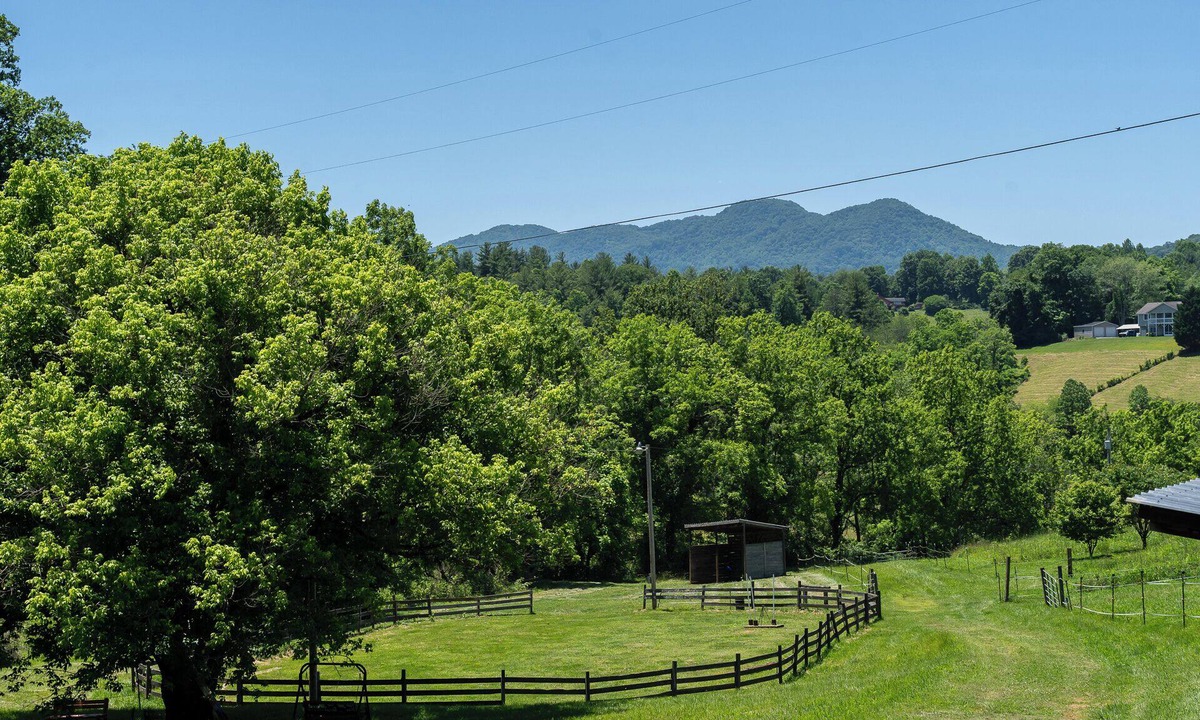 Leicester Cottage | Cozy Country Loft Cottage in the NC Mountains. No added fees.