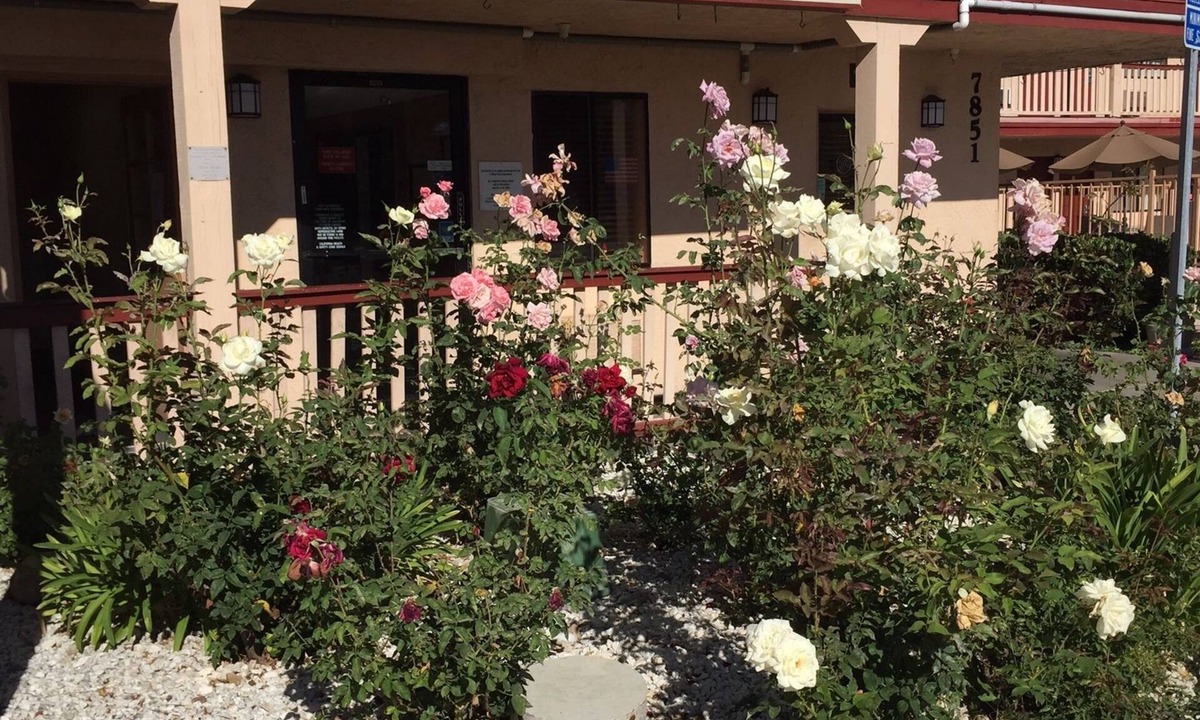 La Mesa Hotel | Heritage Inn La Mesa