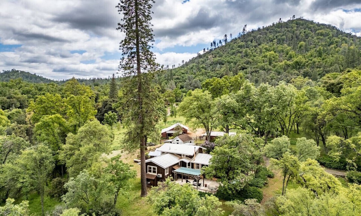 Midpines House | Homestead Ranch near Yosemite w/Horses & Chickens