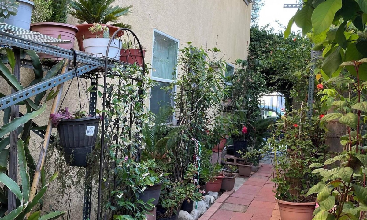 Harbor Gateway North House | Large 2bd garden home w/free parking near LAX, beaches, stadiums, freeways