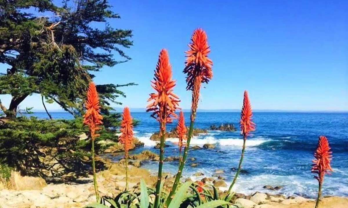 Carmel Point House | Mv14: Beach Retreat Close To The Beach And Carmel