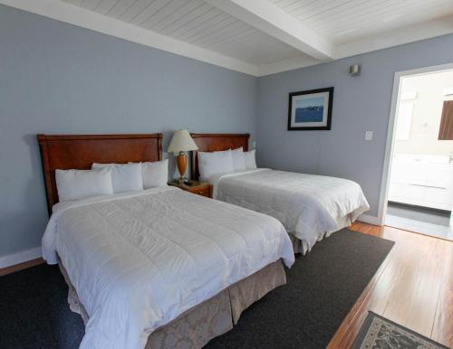 Cow Hollow Hotel | Pacific Heights Inn