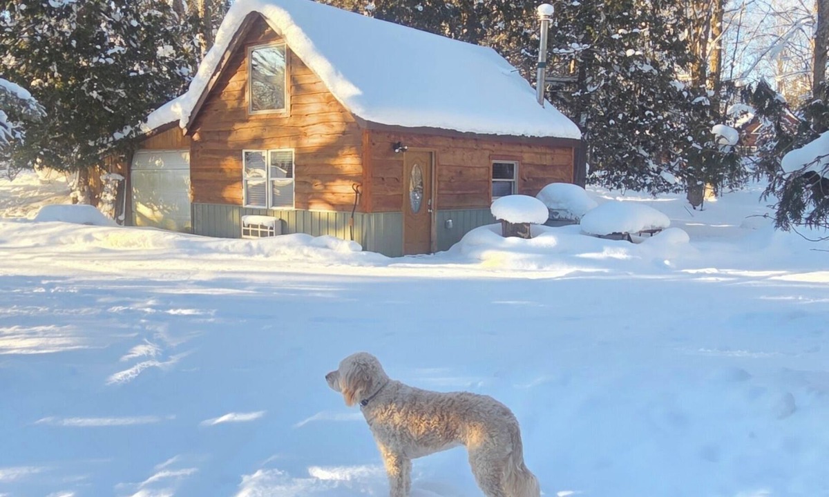 Thompsonville House | The "Bear Den" Betsie river waterfront Guest home.