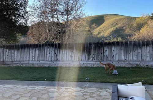 Salinas House | Bright cozy home10 minutes from Monterey and Carmel!