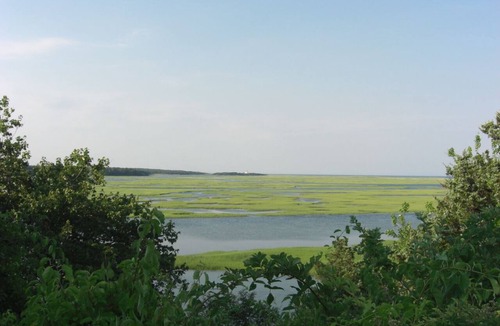 North Eastham House | Cape Cod Great Pond Nature Lover's House Rental in Eastham