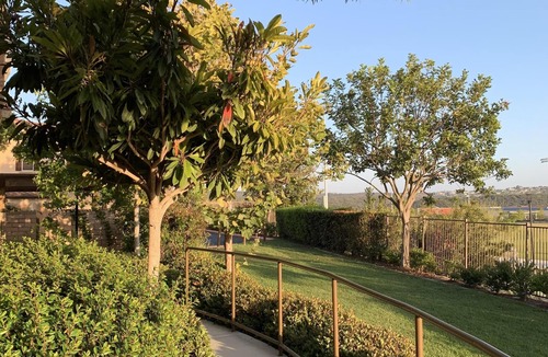 Pacific Highlands Ranch House | Chic & Spacious 3-Bedroom Townhome with Park Views in Carmel Valley