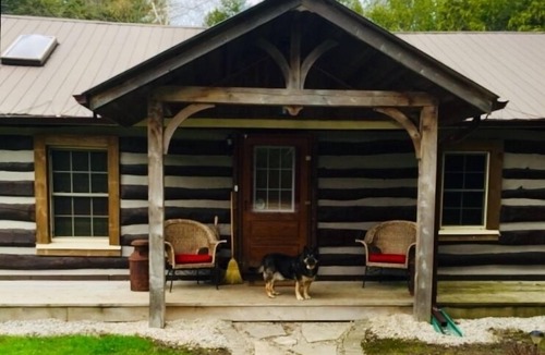Central Huron Cottage | Cozy Log Cabin - Walk to Lake Huron!