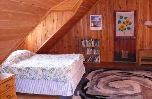 Foresta Cabin | INSIDE Yosemite! Log Cabin, Views of Half Dome & El Capitan. Starry skies!