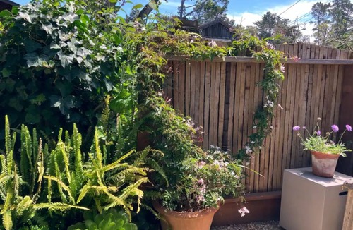 Northwest Carmel Apartment | Live like a local at Birdsong - blocks to beach and town, private outdoor space