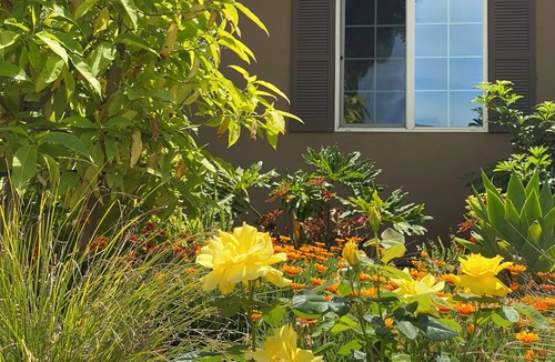 Lake Balboa House | Lovely 2 BR / 2 BA House with Relaxing Spa, Pool, and Gardens