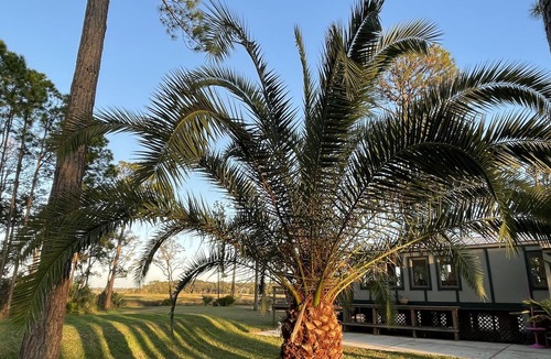 St. Augustine Cabin | Marsh Front Retreat - Intercoastal Waterway access