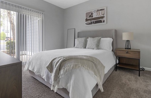Charlotte Apartment | Modern Apartment in Prime Location (ID1380X186)