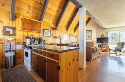 Mammoth Lakes House | MVV 39-Retro Ski Cabin Retreat! 2 Bedrooms+Loft/2 Bathroom close to village