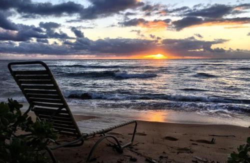 Wailua Apartment | Oceanfront Studio at Islander on the Beach #325