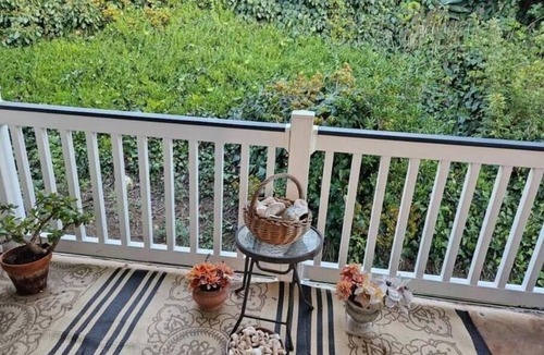 Bay Ho Condo | Peak at the Bay, Ocean, close to trolley & key attractions!