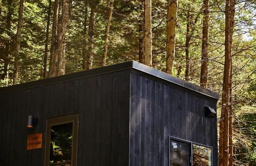 Asheboro Other | Postcard Cabins Asheboro, Outdoor Collection by Marriott Bonvoy