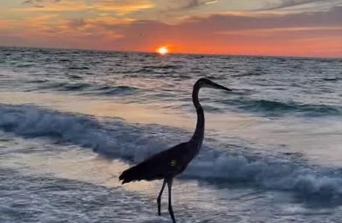 Holmes Beach Apartment | Sunset Connection - Gulf Place