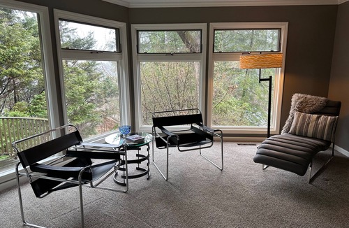 Brevard House | The Coolest House in Brevard- Mid-Century - Impeccably Clean