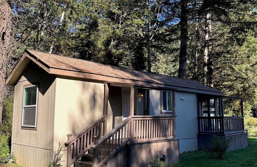 Klamath Cabin | The Tall Trees Cabin - 1-bedroom in Klamath, CA