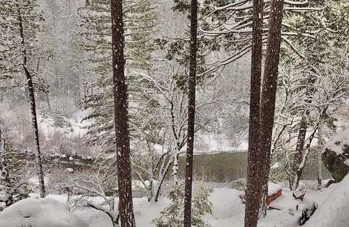 North Wawona Cabin | Yosemite Riverside Retreat - Gorgeous Views! Wood burning Stove!