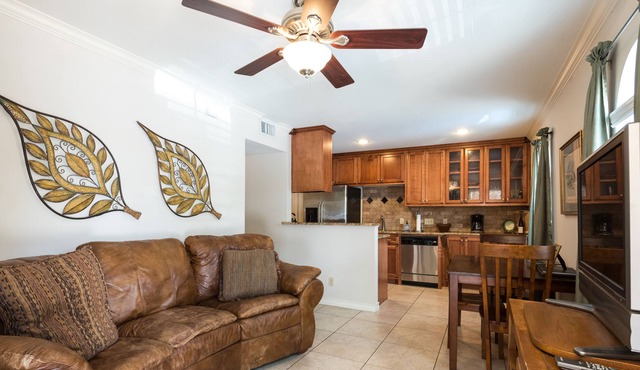 Central Austin Condo, Hyde Park
