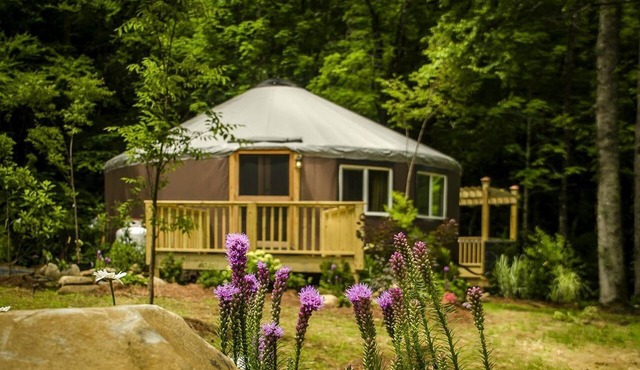 Chic Creek Yurt Comfy for Four in Topton, North Carolina