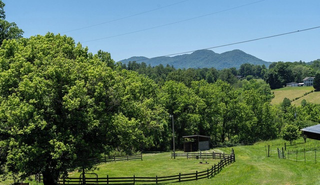 Cozy Country Loft Cottage in the NC Mountains. No added fees.