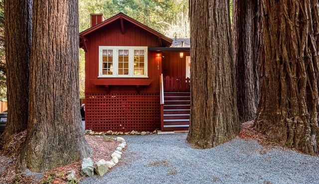 Cozy, Remodeled Cabin! Walk to Russian River! HtTb~AC~Redwood Retreat