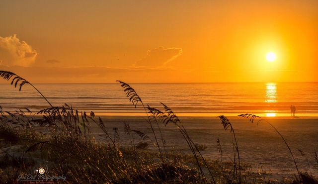 Dog Friendly Oceanside Beach Retreat St Augustine Beach! Close to Downtown!