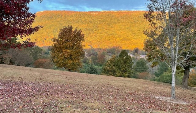 Free Ruby Falls Ticket & More -Large 4BR/3BA-3 acres- Cloudland Canyon, Chattanooga-Lookout Mountain