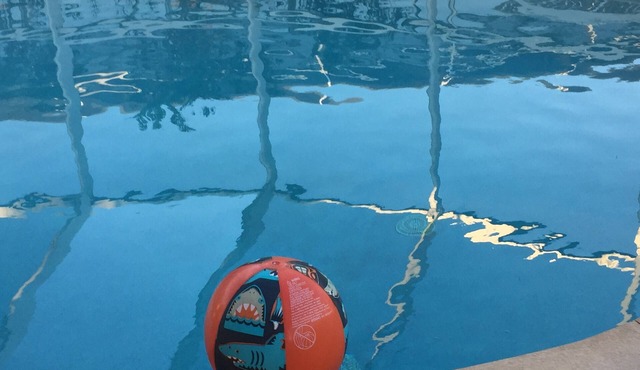 July special! 4 Bedroom Home, Private Pool, walk to the Ocean.Ormond by the Sea