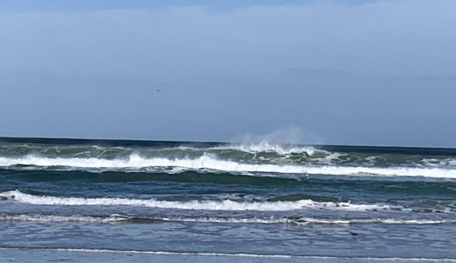 Limited Time Offer-Exclusive Beachfront Retreat Walk-Out Unit to Ocean