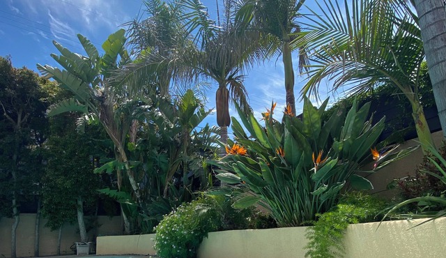 Lovely 2 BR / 2 BA House with Relaxing Spa, Pool, and Gardens