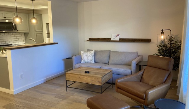 Lovely North Park condo, walkable, with parking