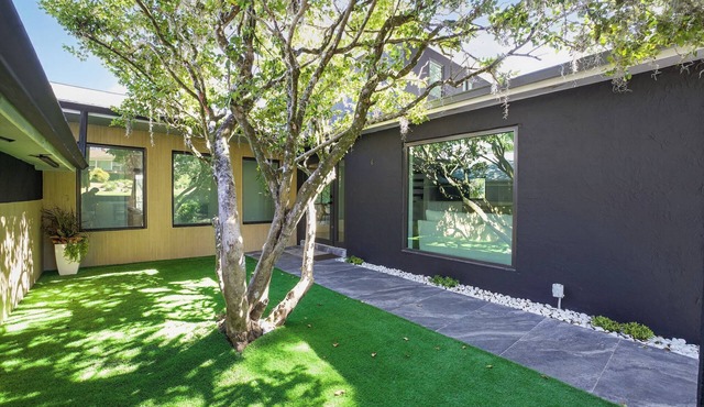 Modern Home on the River near Bush Gardens and USF