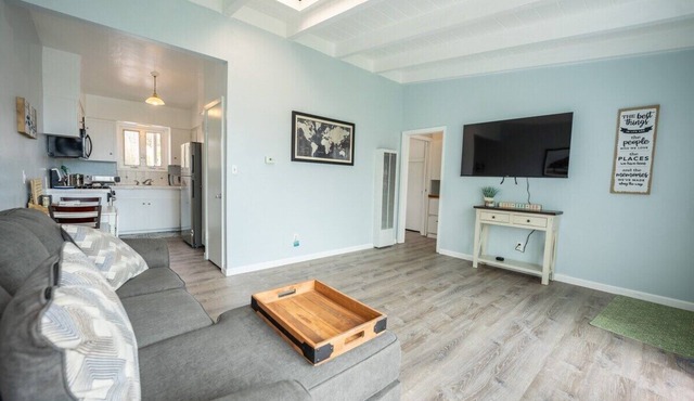 Nautical Ocean View Unit! Walk to Windansea! - Ocean Views!
