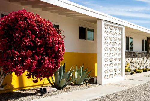 Pool Spa Stargazing Stylish Mid-Century Home Near Joshua Tree National Park