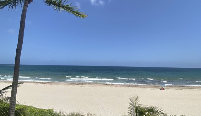 Sudio Apt Right on the Beach!