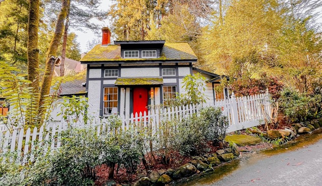 Sweet cottage in the woods with fireplace & patio - steps to town & trails