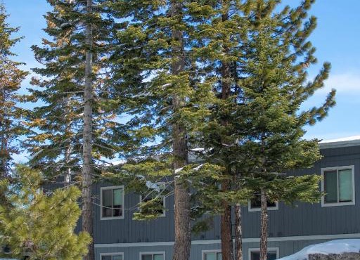 Tahoe Trail Resort