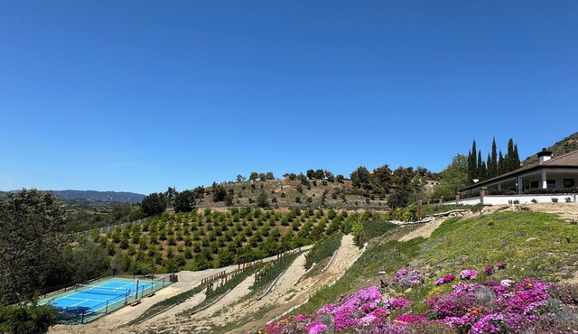 Vineyard Farmhouse with Private Pickleball in Temecula