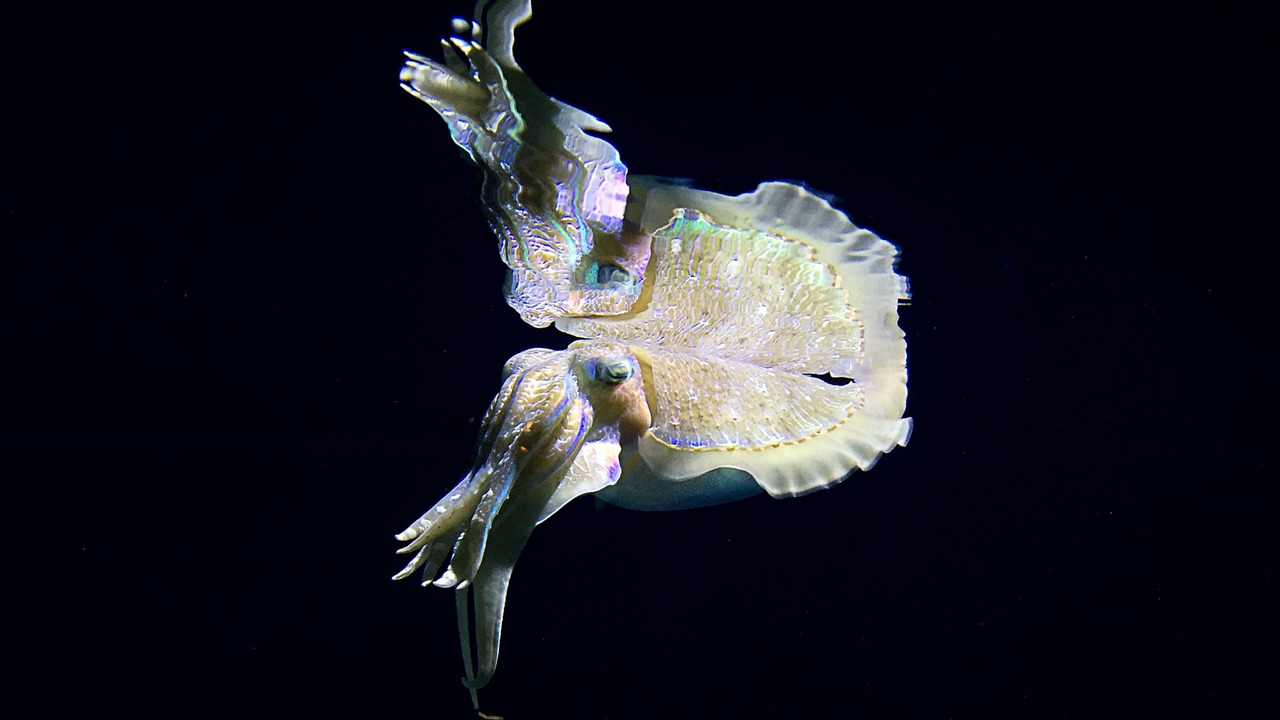 Photo of Others in Monterey