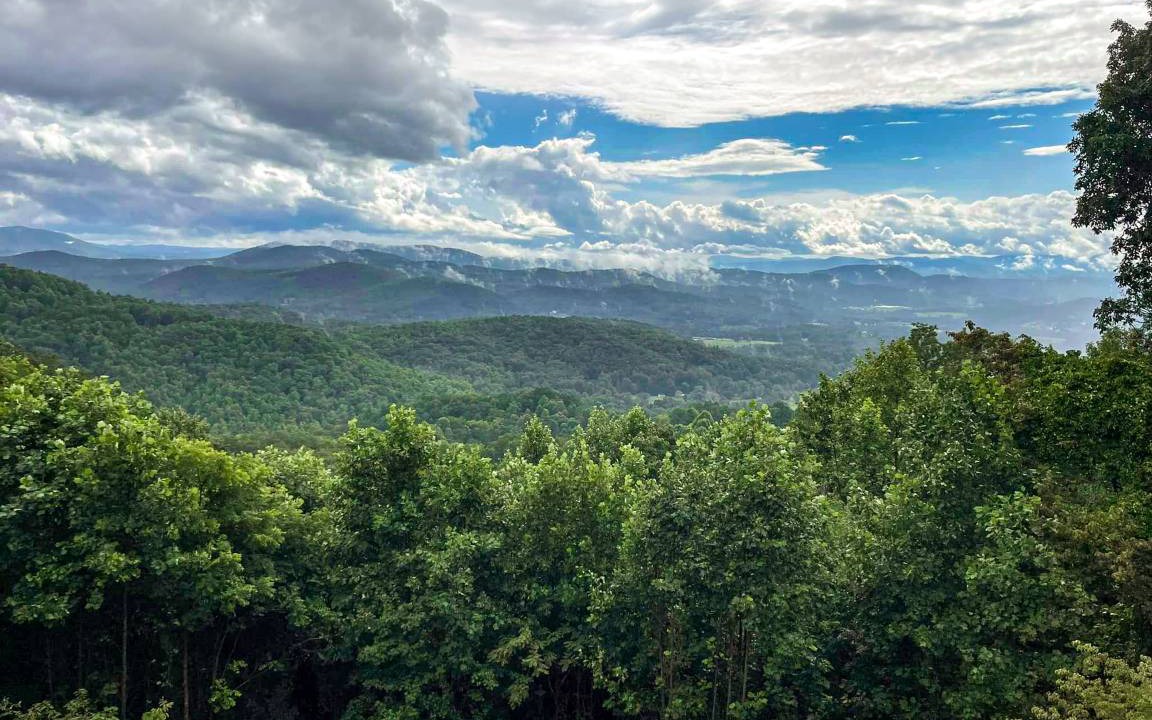 Photo of Others in Laurel Park