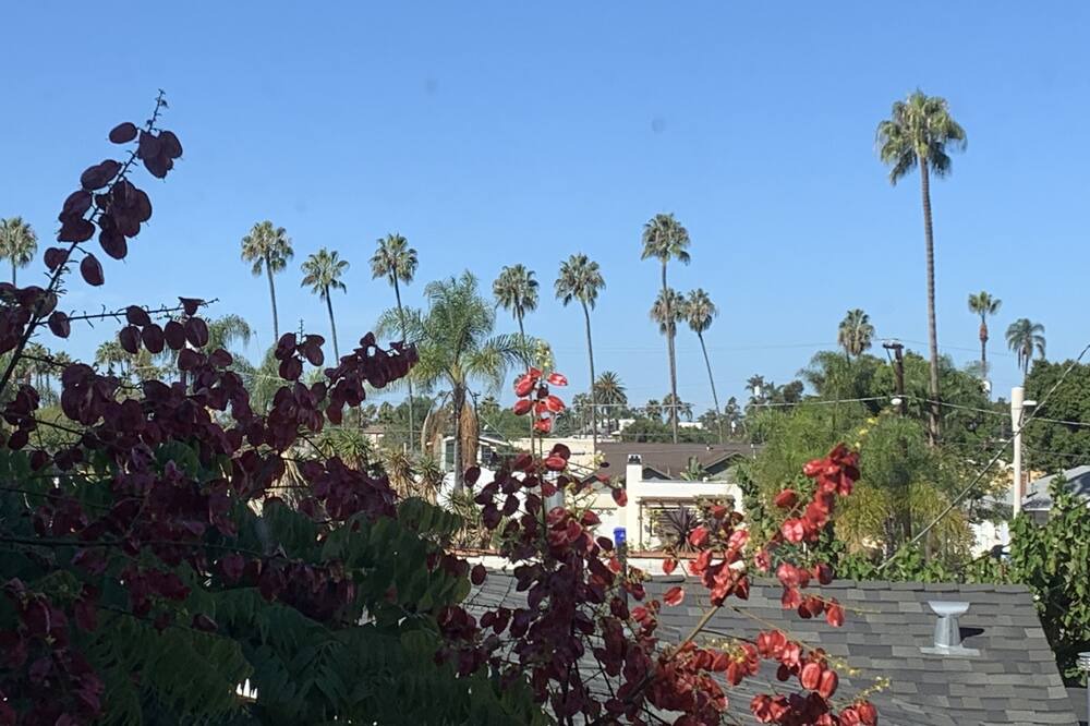 Photo of Others in North Park