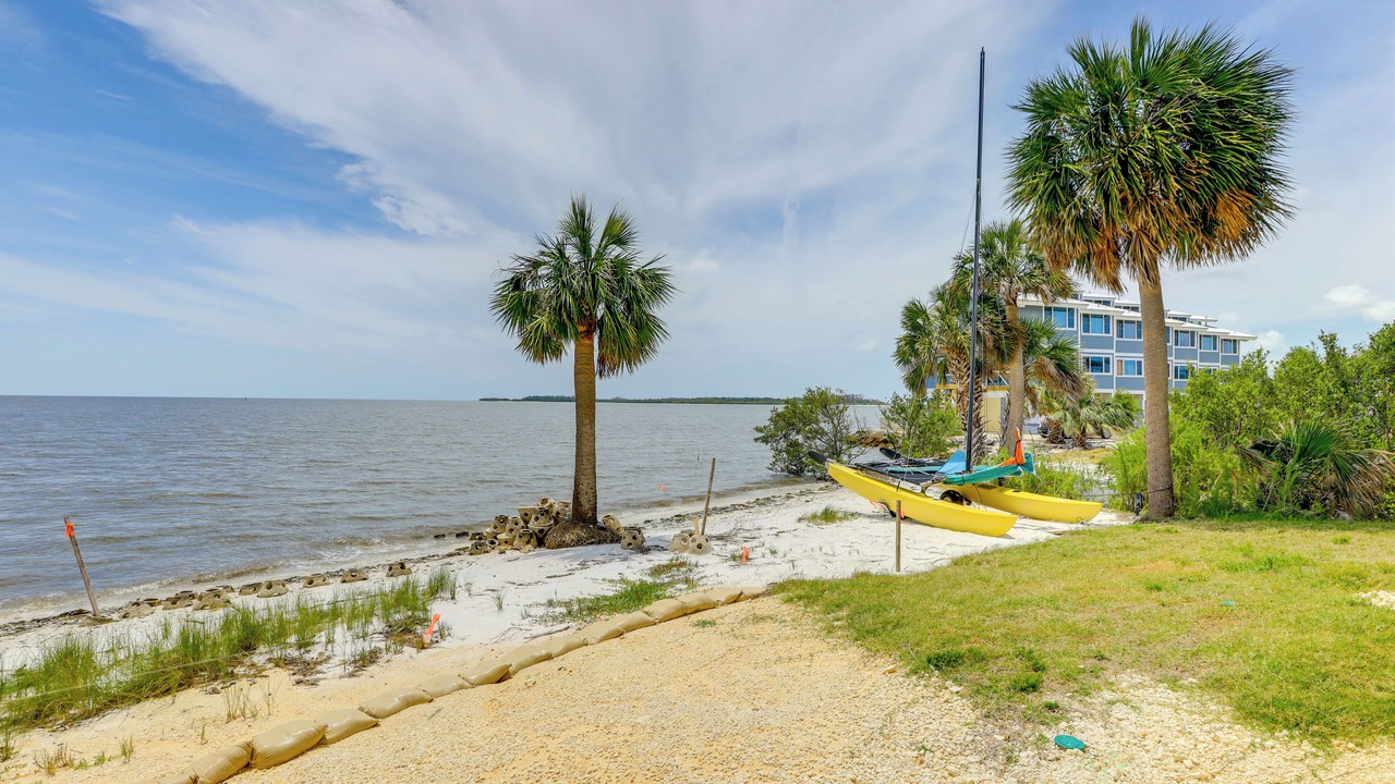 Photo of Others in Cedar Key