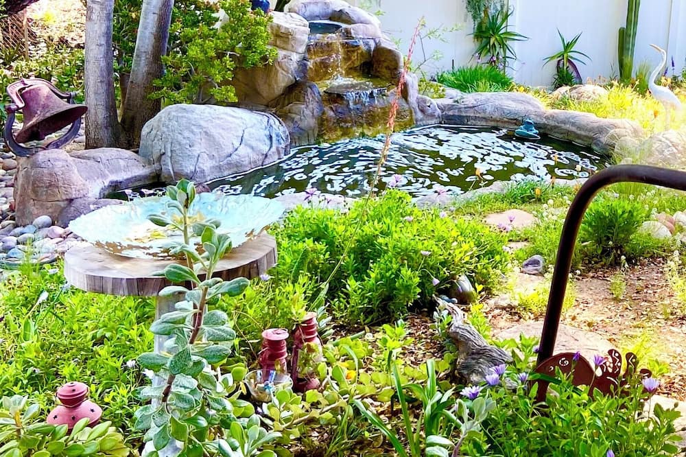 Photo of Outdoor in Mount Helix