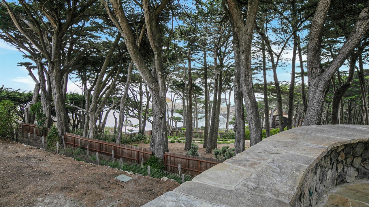 Photo of Outdoor in Carmel Highlands