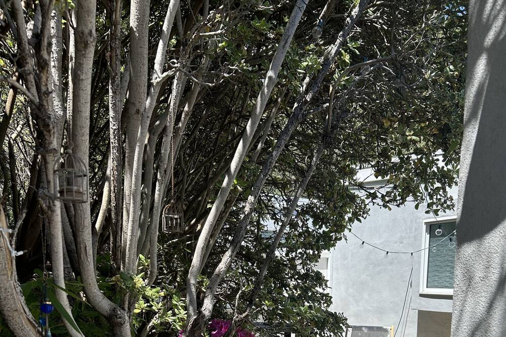 Photo of Outdoor in Malibu