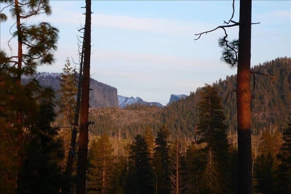 Photo of Others in Foresta